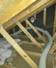 Buckingham Pest Control image 8