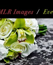 MLR Images image 5