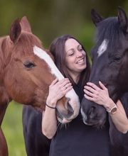Entdecken Sie hochwertige Pferdeprodukte bei Tier im Mittelpunkt – von gesundem Pferdefutter über Mineralfutter bis hin zu Ergänzungsfutter und Kräutern für Vitalität und Leistungsfähigkeit Ihres Pferdes.