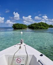 Smiley Location image 8