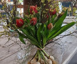 Blumen Hirter Bild 13