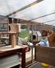 L'arche de Corinne image 6