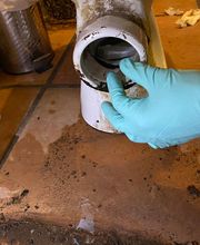 Canaplomb image 6