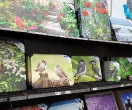 Intratuin Numansdorp afbeelding 20
