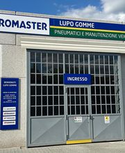 Euromaster LUPO MARCO immagine 4