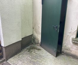 IMG_2829.jpeg