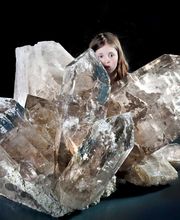 Naturhistorisches Museum Bern Bild 12