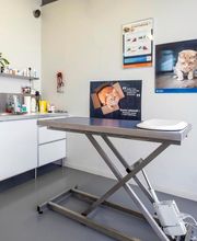 Clinique vétérinaire de l'Arnoult - Pont-l'Abbé-d'Arnoult - Sevetys image 5