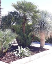 Paysages Prestige image 1