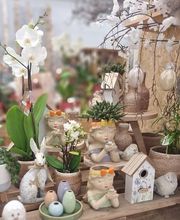 Inna's Blumen Galerie Bild 6