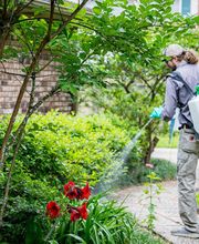 BugMeNot Pest Control image 4