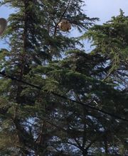 Appel Anti Nuisible image 10