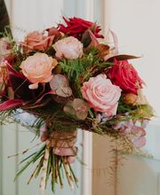 Blumen Schweizer Bild 13