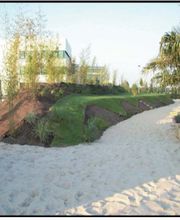 Peter Baggerarbeiten Bild 2