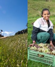 Stiftung Bächtelen Bild 2