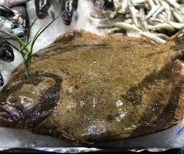 Poissonnerie Libournaise image 7