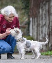 Tierklinik Rossweid AG Bild 9