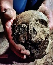 IN SITU SCP imagen 16