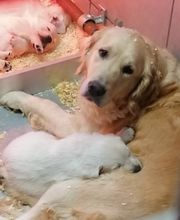 Le Domaine D'Izara image 3