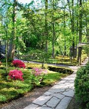 Wittoesch Gartenbau Bild 1