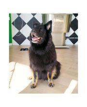 Baker Street image 7