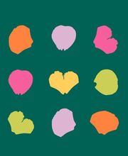 Le Jardin Des Fleurs image 8