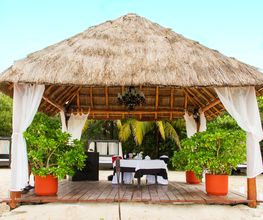 Occidental Cozumel imagen 15