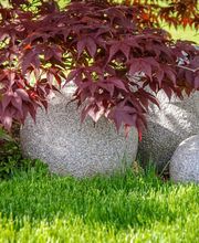 E.+R. Forrer Gartenbau AG Bild 5