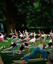Ruhe finden, Kraft tanken, Flexibilität fördern – unsere Yoga-Kurse verbinden Bewegung und Achtsamkeit zu einem ganzheitlichen Erlebnis.