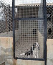 Vilain Jean Christophe image 2