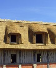 Bosschaerts Romain image 3