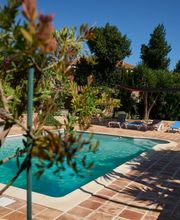 Jardin de Palme image 1