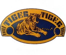 Tiger image 2