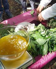 Rites des Bois image 13