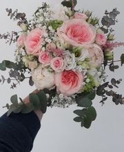 Lily R image 12
