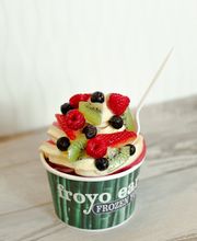 Froyo Earth image 2