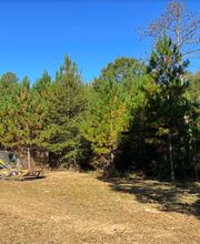 Keller Clearing & Brush Control, LLC image 2