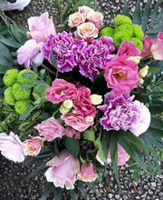 La Tulipe Noire image 4