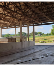 Gerling GmbH Schädlingsbekämpfung Bild 7