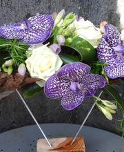 Au Joli Coucou image 6