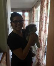 Rreddy Smiles image 5