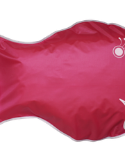 Wickelfisch AG Bild 4