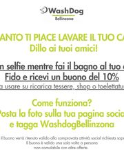 WashDog Bellinzona Bild 1
