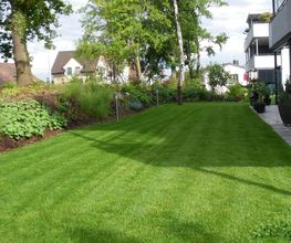 Berisha Gartenbau & Hauswartung GmbH Bild 12