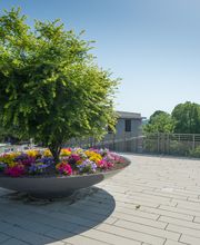 Alterszentrum Emmersberg Bild 2