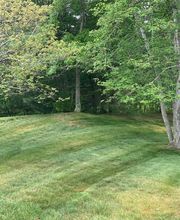 Brace Lawn Care image 11