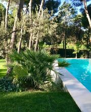 Pool&Paddle imagen 4