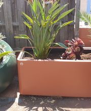 Evtp Jardins EURL image 6