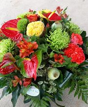 La Halte Verte image 13