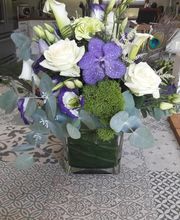 Lily R image 11